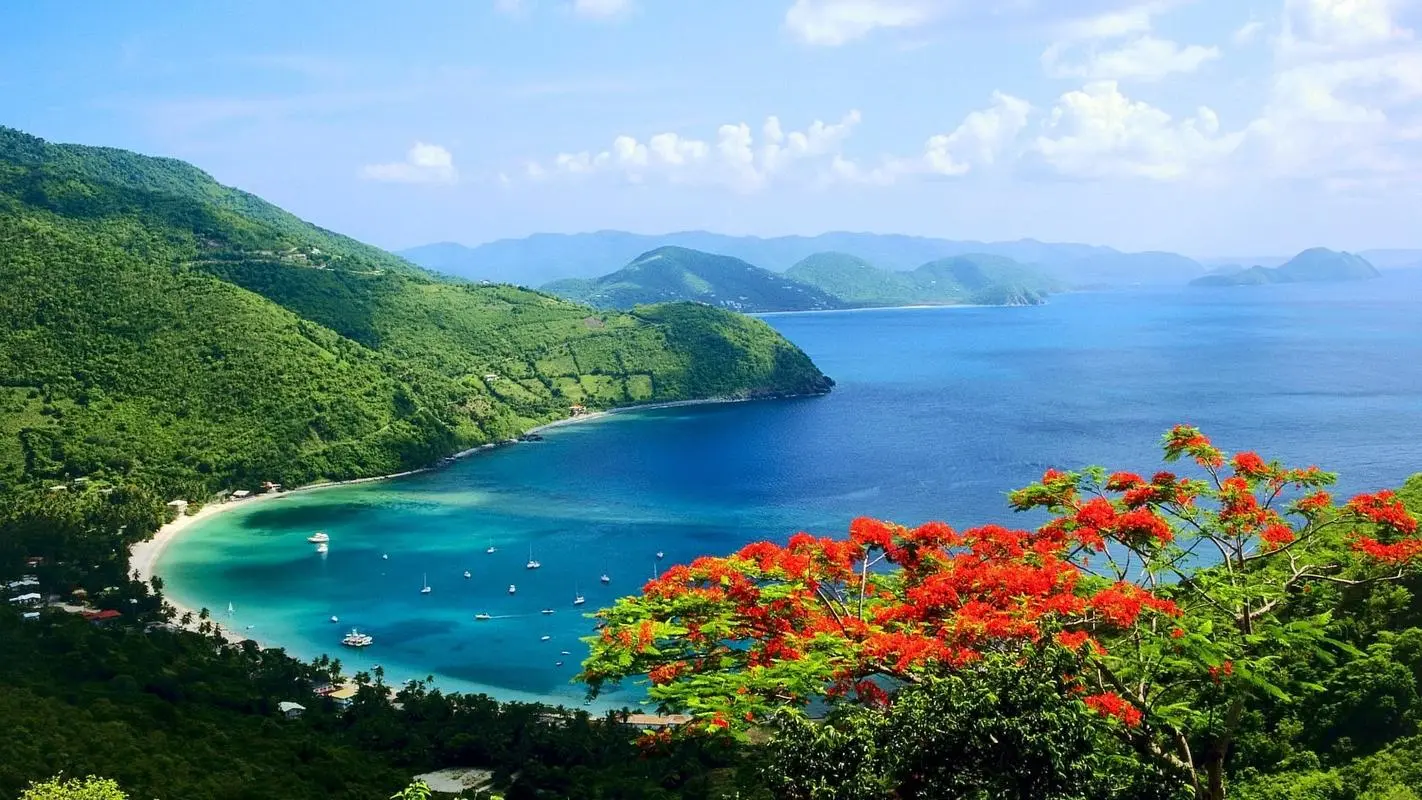 可靠性高效可靠性